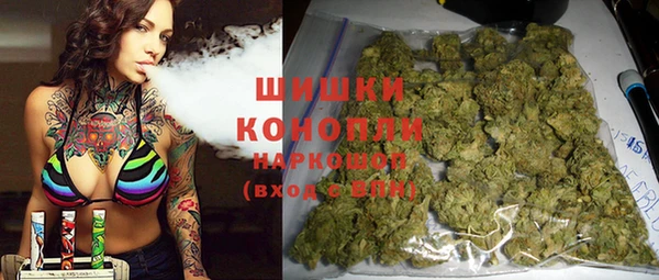 индика Абдулино