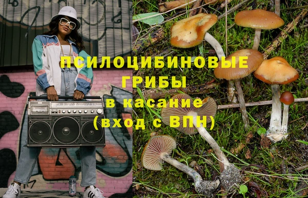 индика Абдулино