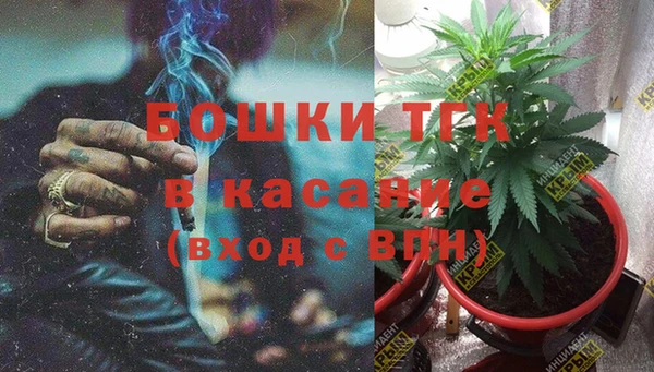 индика Абдулино