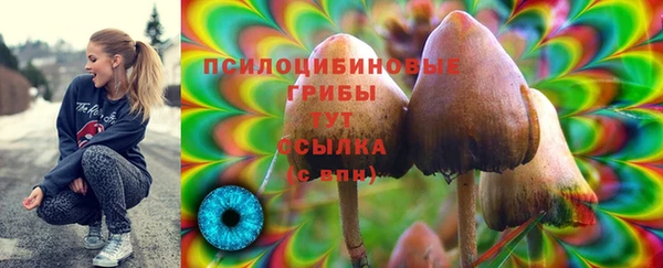 ешки Абинск